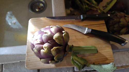 Carciofi alla romana