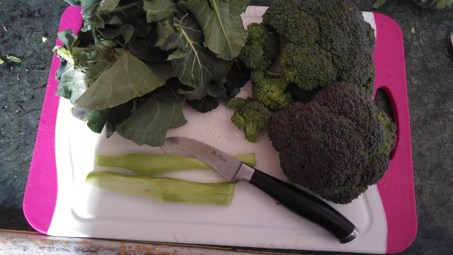 Broccoli puliti