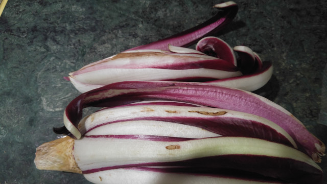 Radicchio 